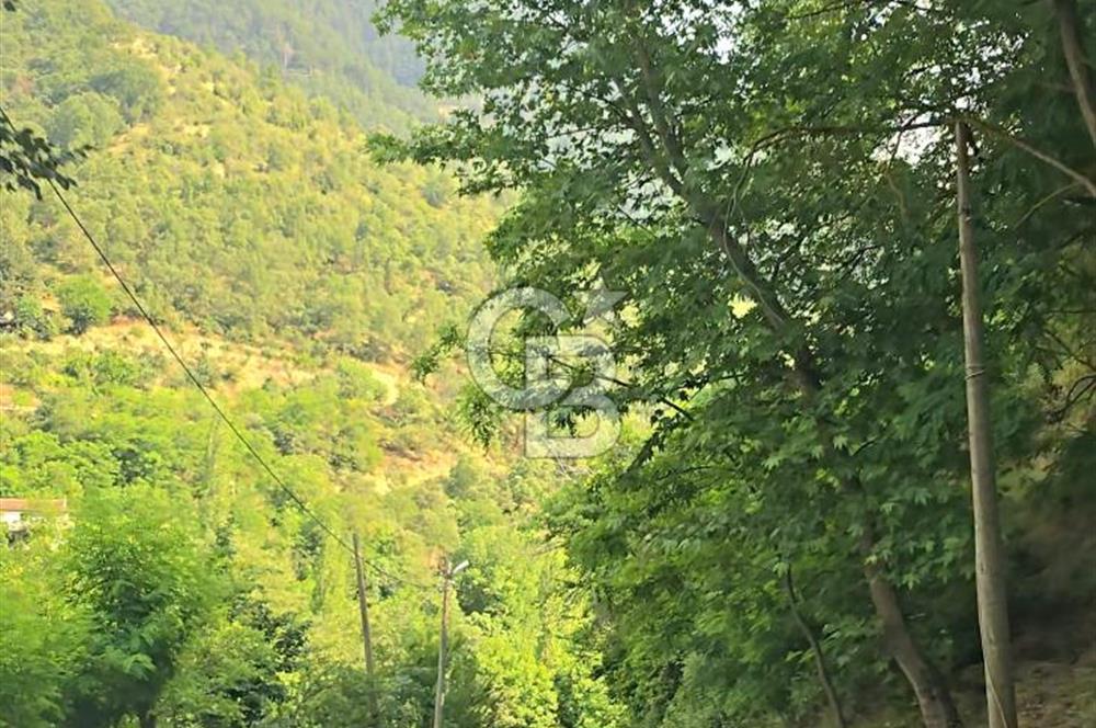 Denizli Altındere Takasa Açık 289 M² Satılık Arsa