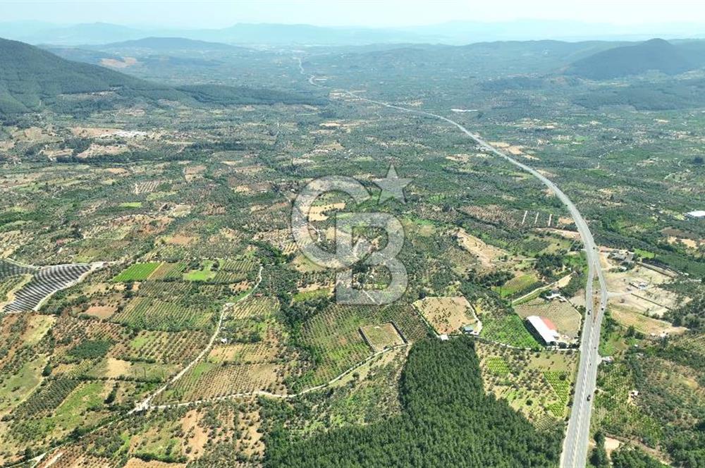KEMALPAŞA DEREKÖY SATILIK ÜRETİM TESİSİ&DEPO RUHSATLI