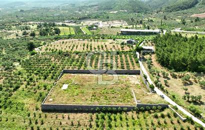 KEMALPAŞA DEREKÖY SATILIK ÜRETİM TESİSİ&DEPO RUHSATLI