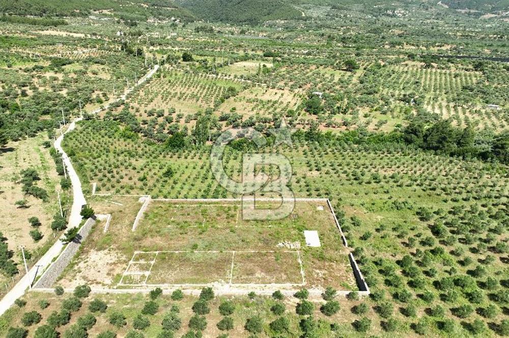 KEMALPAŞA DEREKÖY SATILIK ÜRETİM TESİSİ&DEPO RUHSATLI