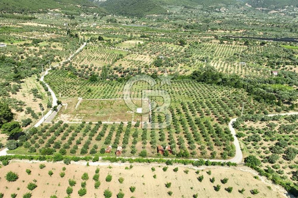 KEMALPAŞA DEREKÖY SATILIK ÜRETİM TESİSİ&DEPO RUHSATLI