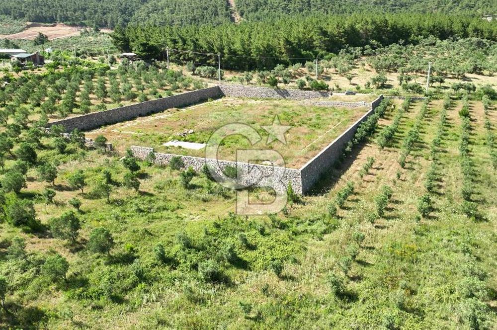 KEMALPAŞA DEREKÖY SATILIK ÜRETİM TESİSİ&DEPO RUHSATLI