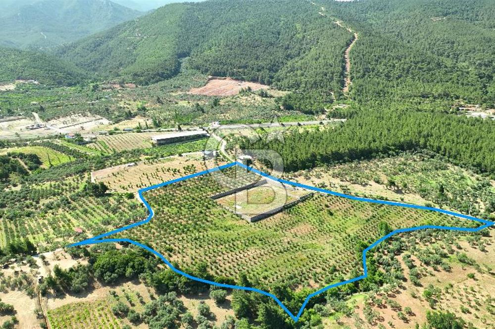 KEMALPAŞA DEREKÖY SATILIK ÜRETİM TESİSİ&DEPO RUHSATLI