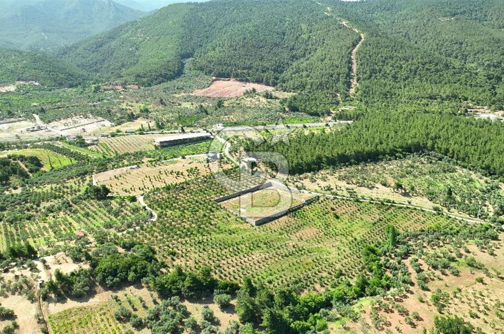 KEMALPAŞA DEREKÖY SATILIK ÜRETİM TESİSİ&DEPO RUHSATLI