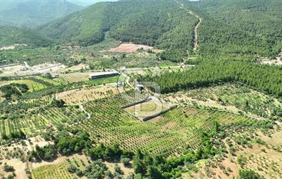 KEMALPAŞA DEREKÖY SATILIK ÜRETİM TESİSİ&DEPO RUHSATLI