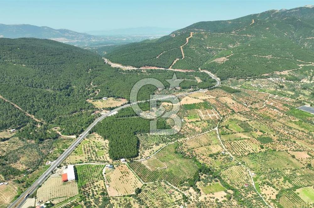 KEMALPAŞA DEREKÖY SATILIK ÜRETİM TESİSİ&DEPO RUHSATLI