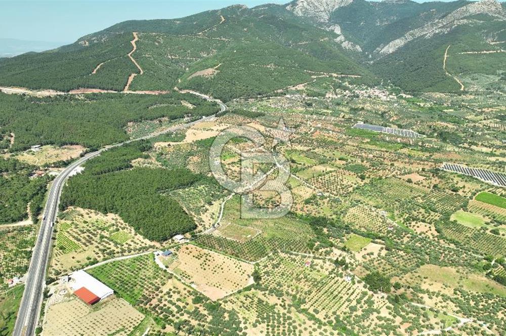 KEMALPAŞA DEREKÖY SATILIK ÜRETİM TESİSİ&DEPO RUHSATLI