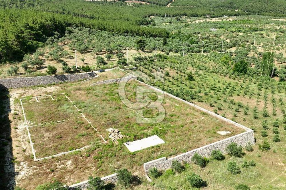 KEMALPAŞA DEREKÖY SATILIK ÜRETİM TESİSİ&DEPO RUHSATLI
