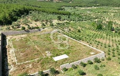 KEMALPAŞA DEREKÖY SATILIK ÜRETİM TESİSİ&DEPO RUHSATLI