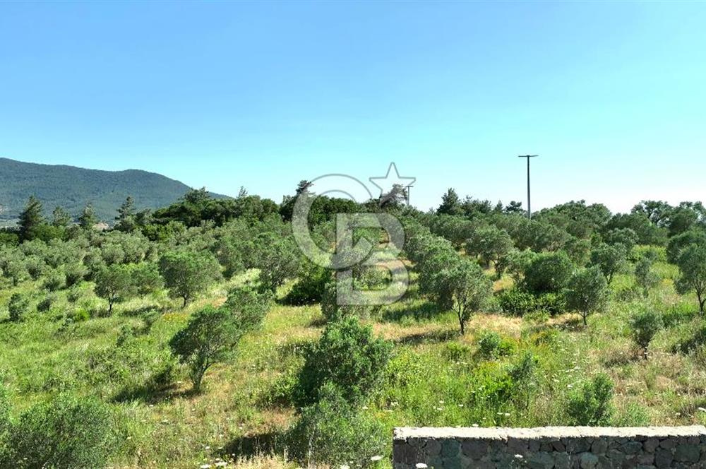 KEMALPAŞA DEREKÖY SATILIK ÜRETİM TESİSİ&DEPO RUHSATLI