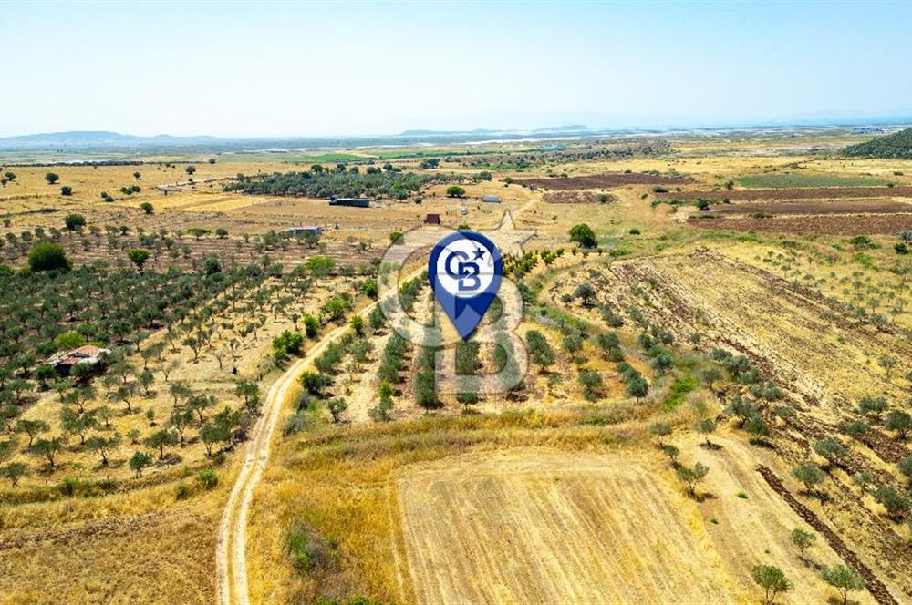 Foça Yenibağarasında Satılık Tarla