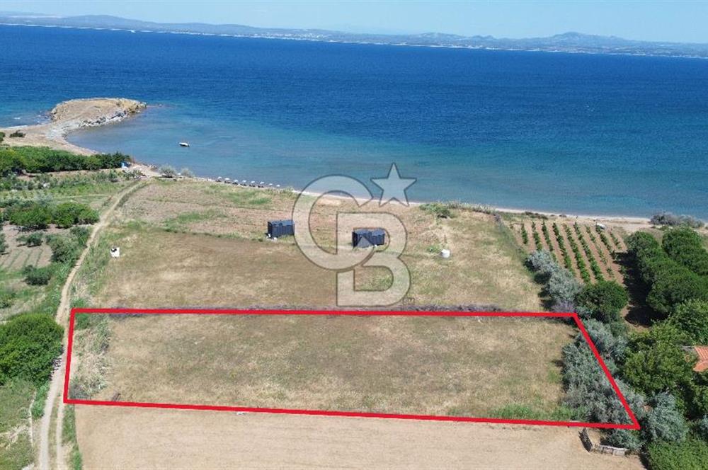 ÇANAKKALE BOZCAADA TEKİRBAHÇE KOYUNDA SATILIK TARLA DENİZE 120 MT
