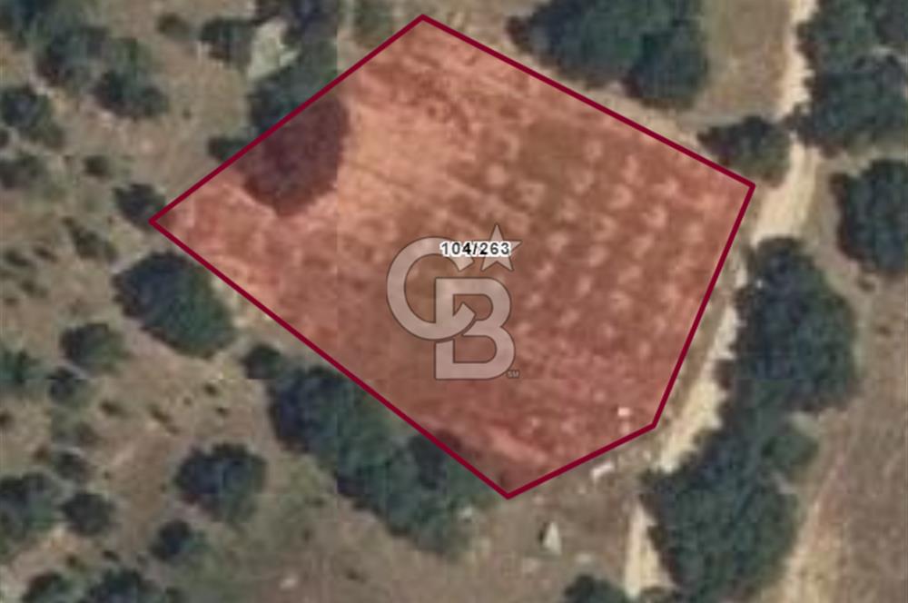 Kırklareli Merkez Yörükbayır Köyünde Satılık Tarla 