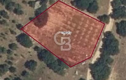 Kırklareli Merkez Yörükbayır Köyünde Satılık Tarla 