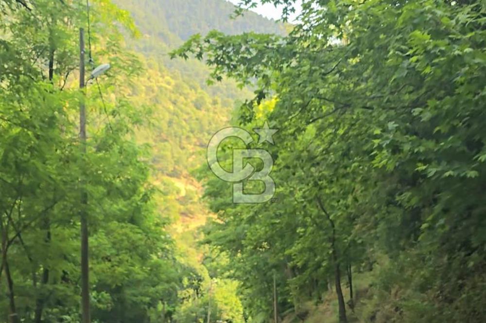 Denizli Altındere Takasa Açık 289 M² Satılık Arsa