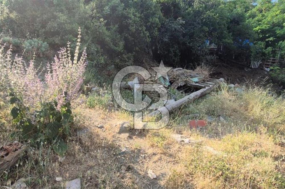 Denizli Altındere Takasa Açık 289 M² Satılık Arsa