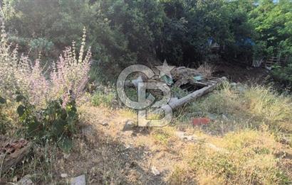 Denizli Altındere Takasa Açık 289 M² Satılık Arsa