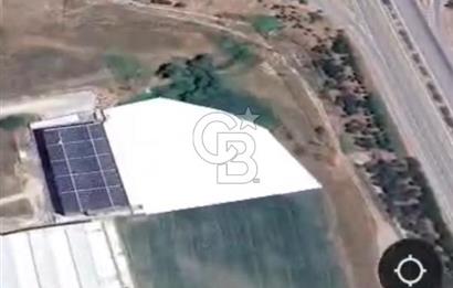 BÜYÜKBALIKLI'DA 5524 M2 KİRALIK İMARLI ARSA