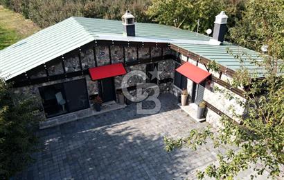 BURSA, OSMANGAZİ ÇUKURCA'da SATILIK MUHTEŞEM BİR ÇİFTLİK