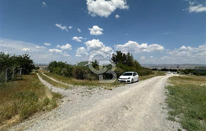 Gölbaşı Yavrucukta Satılık Tapulu 2000 m2 Tarla/Hobi Bahçesi