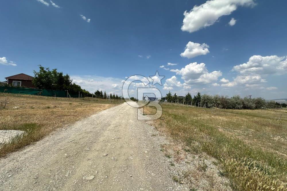 Gölbaşı Yavrucukta Satılık Tapulu 2000 m2 Tarla/Hobi Bahçesi