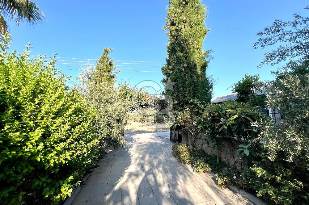 Girne Ozanköy Havuzlu Geniş Arsalı 3+1 Villa