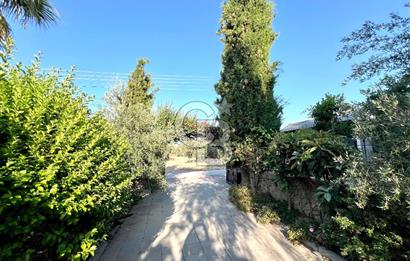 Girne Ozanköy Havuzlu Geniş Arsalı 3+1 Villa