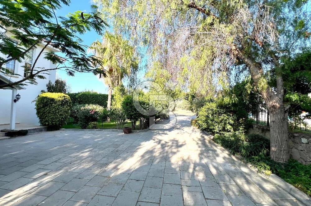 Girne Ozanköy Havuzlu Geniş Arsalı 3+1 Villa