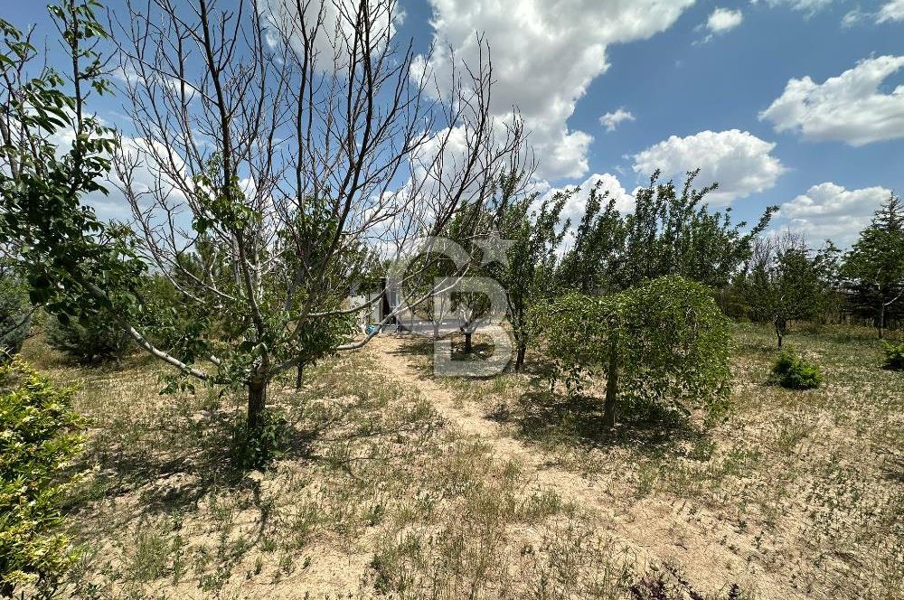 Gölbaşı Yavrucukta Satılık Tapulu 2000 m2 Tarla/Hobi Bahçesi
