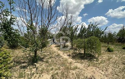 Gölbaşı Yavrucukta Satılık Tapulu 2000 m2 Tarla/Hobi Bahçesi