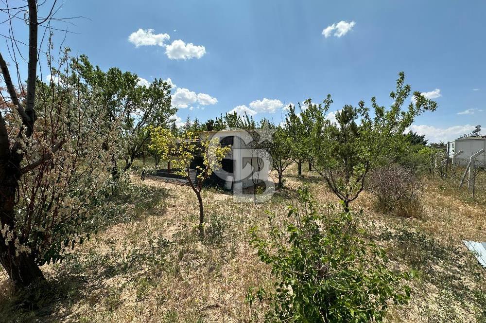 Gölbaşı Yavrucukta Satılık Tapulu 2000 m2 Tarla/Hobi Bahçesi