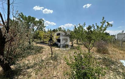 Gölbaşı Yavrucukta Satılık Tapulu 2000 m2 Tarla/Hobi Bahçesi