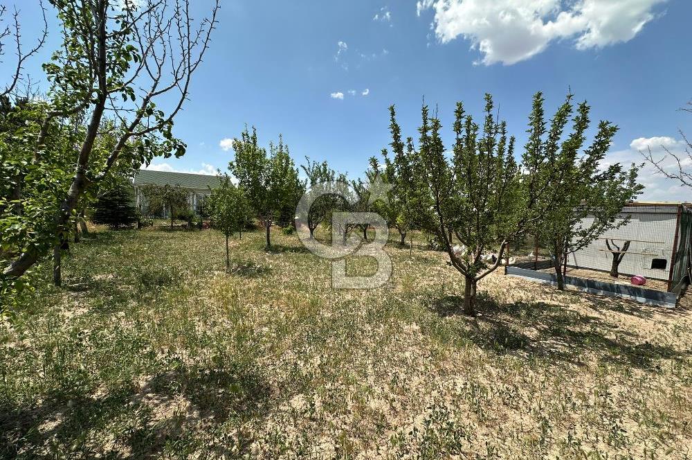 Gölbaşı Yavrucukta Satılık Tapulu 2000 m2 Tarla/Hobi Bahçesi