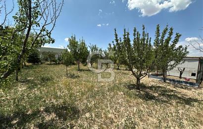 Gölbaşı Yavrucukta Satılık Tapulu 2000 m2 Tarla/Hobi Bahçesi