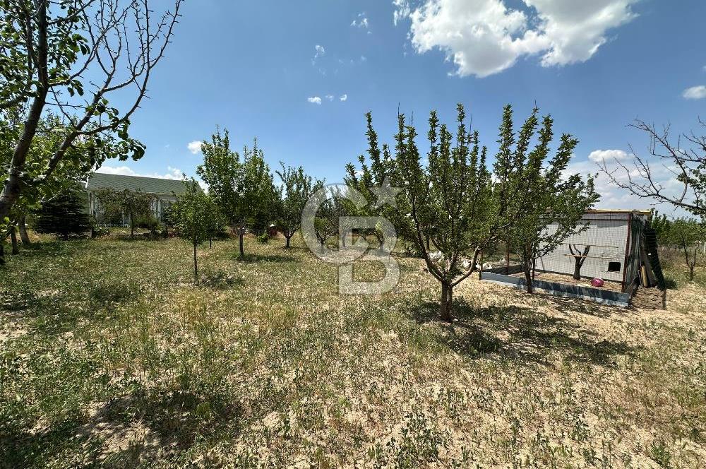 Gölbaşı Yavrucukta Satılık Tapulu 2000 m2 Tarla/Hobi Bahçesi