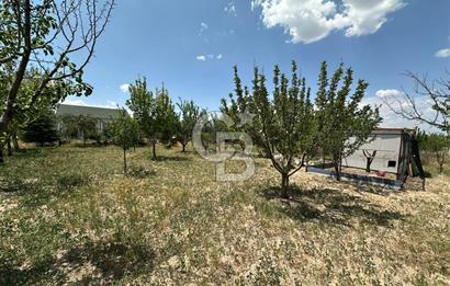 Gölbaşı Yavrucukta Satılık Tapulu 2000 m2 Tarla/Hobi Bahçesi