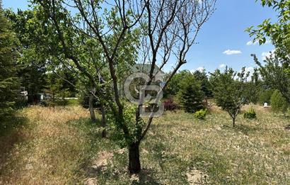 Gölbaşı Yavrucukta Satılık Tapulu 2000 m2 Tarla/Hobi Bahçesi