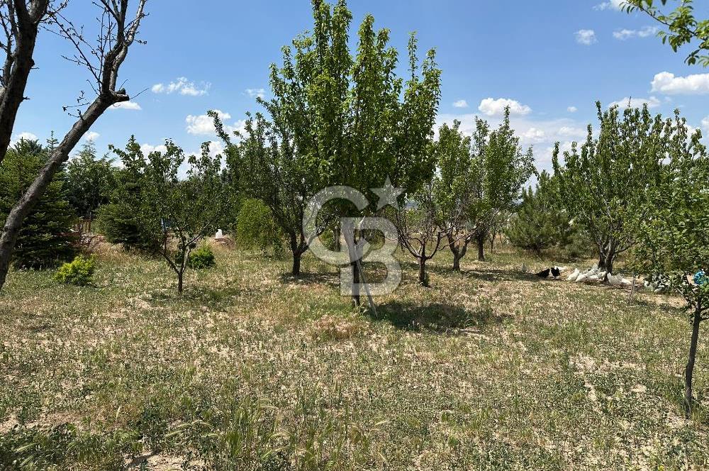 Gölbaşı Yavrucukta Satılık Tapulu 2000 m2 Tarla/Hobi Bahçesi