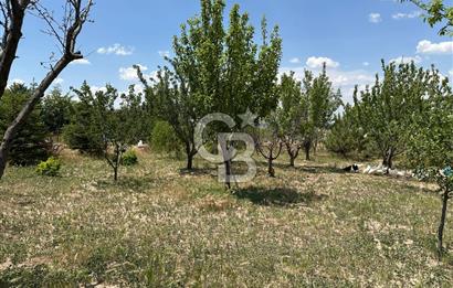 Gölbaşı Yavrucukta Satılık Tapulu 2000 m2 Tarla/Hobi Bahçesi