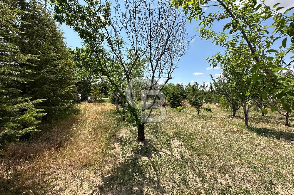 Gölbaşı Yavrucukta Satılık Tapulu 2000 m2 Tarla/Hobi Bahçesi