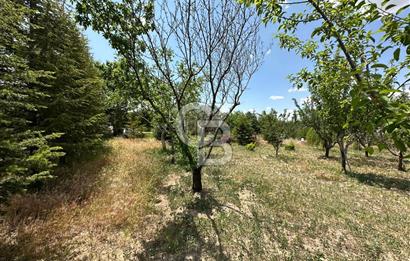 Gölbaşı Yavrucukta Satılık Tapulu 2000 m2 Tarla/Hobi Bahçesi