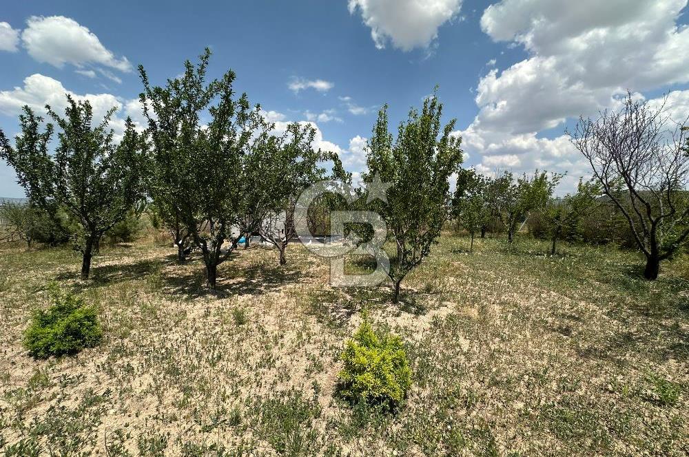 Gölbaşı Yavrucukta Satılık Tapulu 2000 m2 Tarla/Hobi Bahçesi