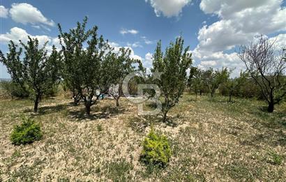 Gölbaşı Yavrucukta Satılık Tapulu 2000 m2 Tarla/Hobi Bahçesi