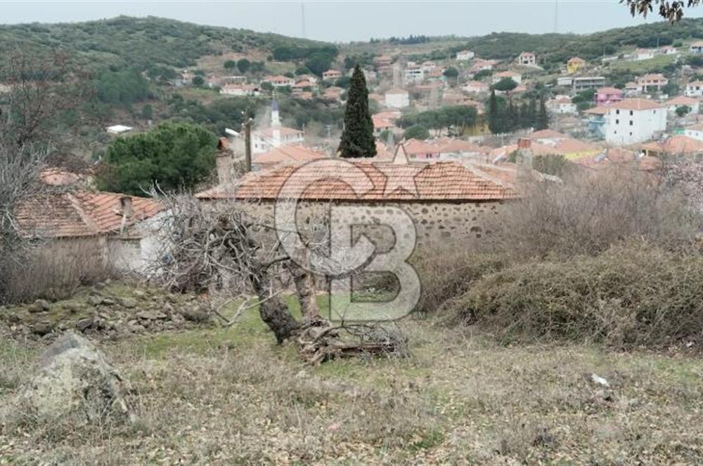 BALIKESİR AYVALIK ÜÇKABAĞAÇ MAHALLESİNDE SATILIK ARSA