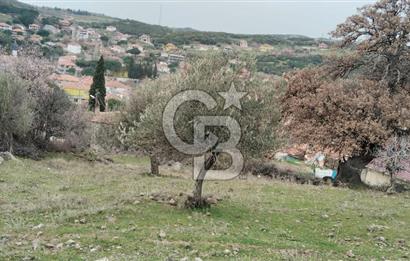 BALIKESİR AYVALIK ÜÇKABAĞAÇ MAHALLESİNDE SATILIK ARSA