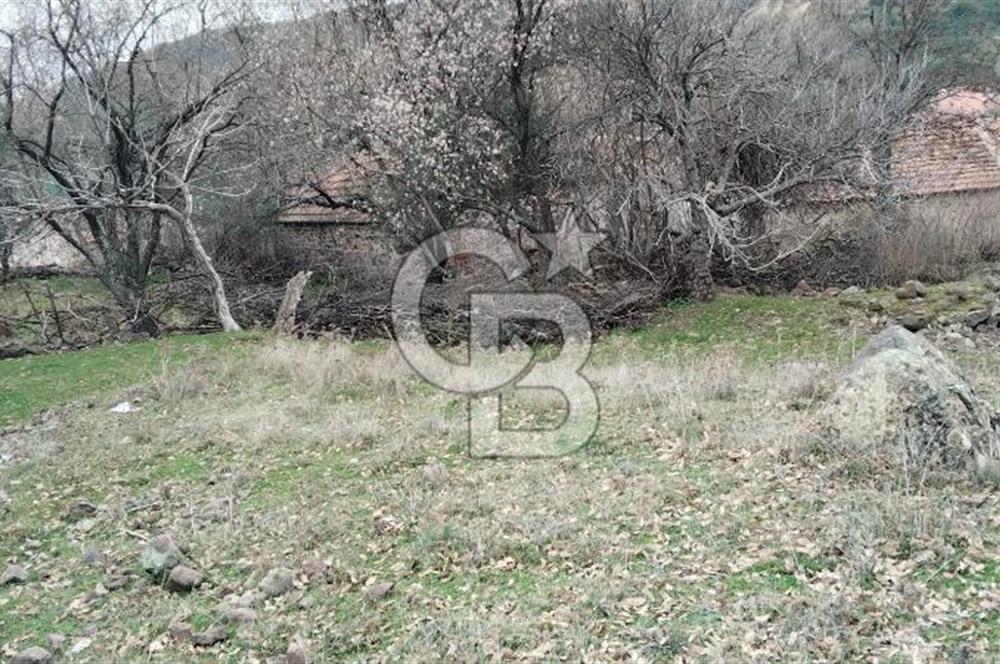 BALIKESİR AYVALIK ÜÇKABAĞAÇ MAHALLESİNDE SATILIK ARSA