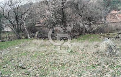 BALIKESİR AYVALIK ÜÇKABAĞAÇ MAHALLESİNDE SATILIK ARSA