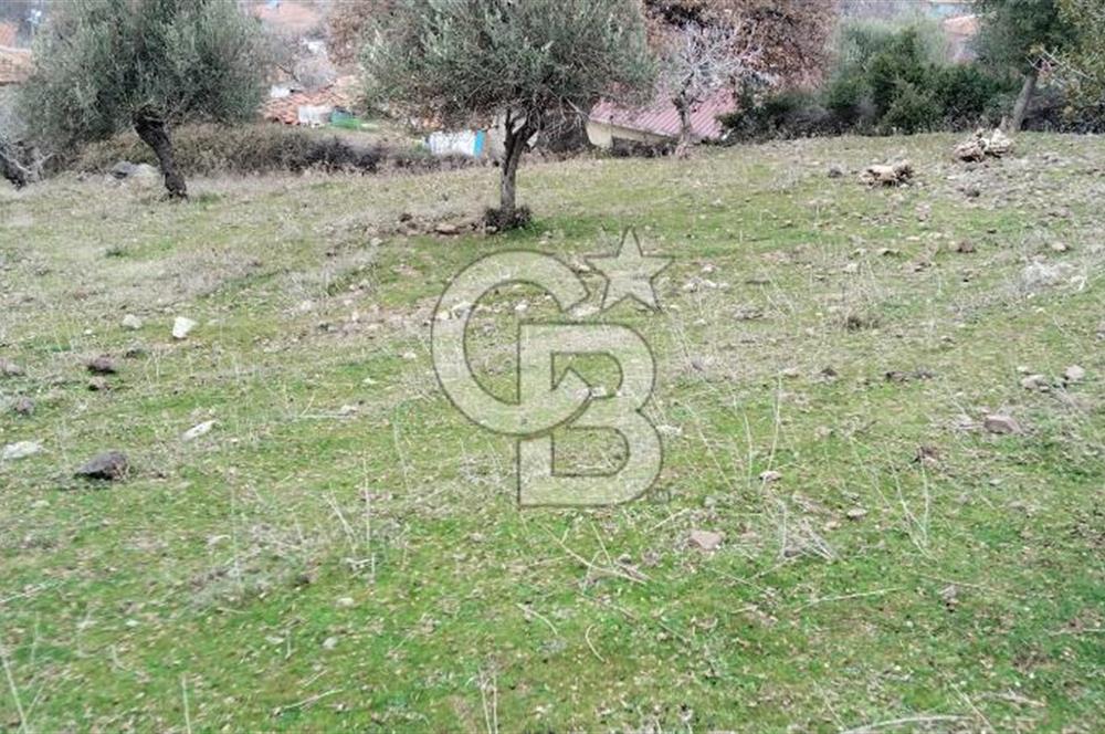 BALIKESİR AYVALIK ÜÇKABAĞAÇ MAHALLESİNDE SATILIK ARSA