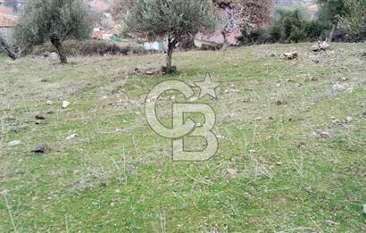 BALIKESİR AYVALIK ÜÇKABAĞAÇ MAHALLESİNDE SATILIK ARSA
