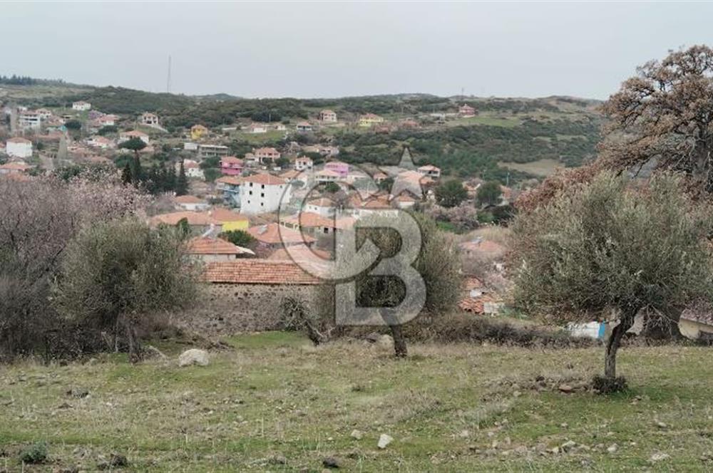 BALIKESİR AYVALIK ÜÇKABAĞAÇ MAHALLESİNDE SATILIK ARSA